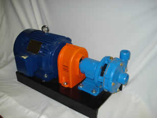 Salt Water Transfer Pump Package with Motor and Couplings